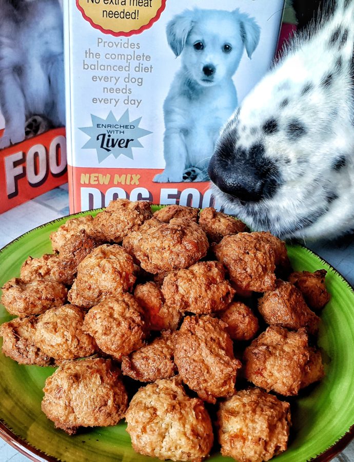 Biscotti per cani Golosi? – Pepite al cocco e formaggio